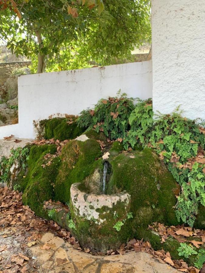 Hébergement de vacances Remedios Cuevas del Becerro